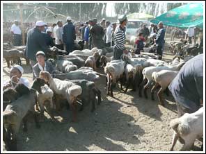 Handje klap op de veemarkt in Kashgar