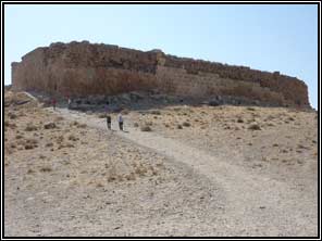Pasargad: restant van het fort
