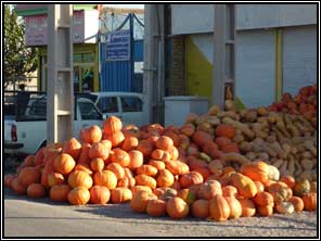 pompoenen in overvloed