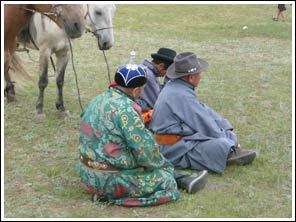 Bewonderaars van paarden