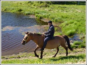 herder te paard