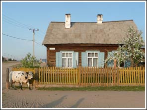 Woning met koe in Kishir op Olchon