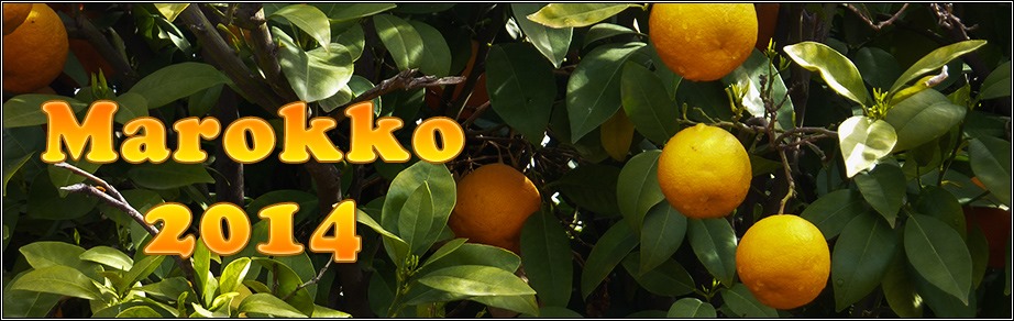 Lekkere sinaasappelen in Marokko