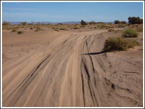 piste in Erg Chegaga