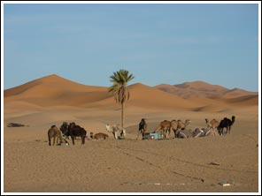 zandduinen voor de deur