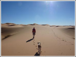 Henro aan de wandel in de zandduinen