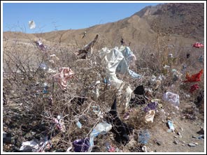 Kleding in de struiken bij thermaalbad Moullay Al Charif