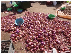 uien op de souk in Goulmima