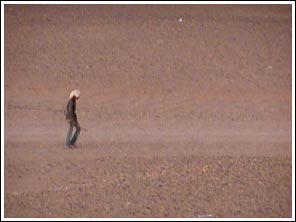 filmpje man met dromedaris